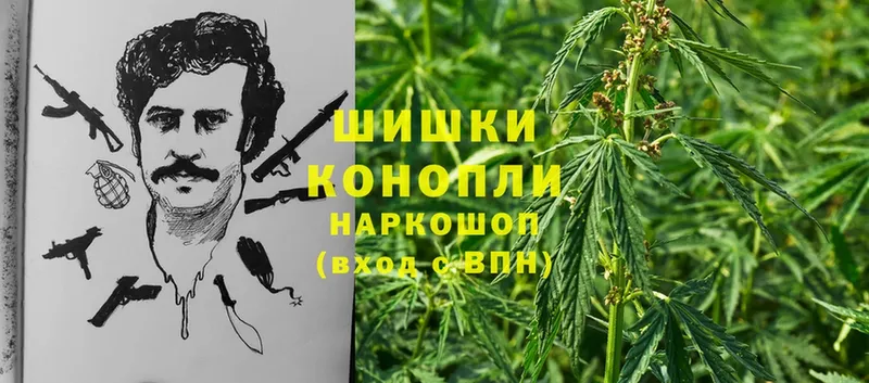 где найти наркотики  Петровск-Забайкальский  Бошки марихуана White Widow 